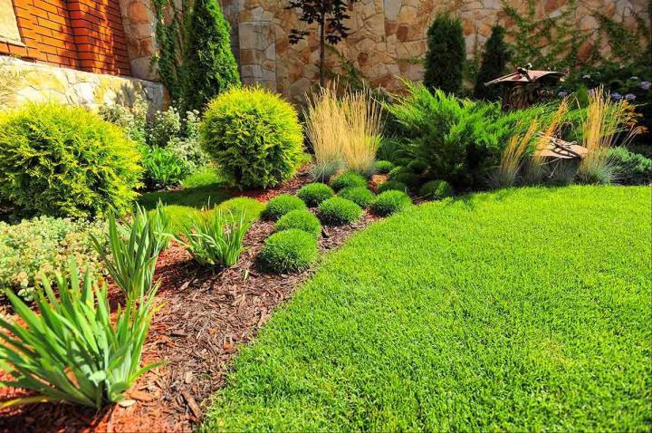 Aménagement de jardin à Niort