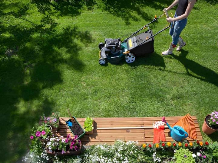 Entretien de jardin Niort